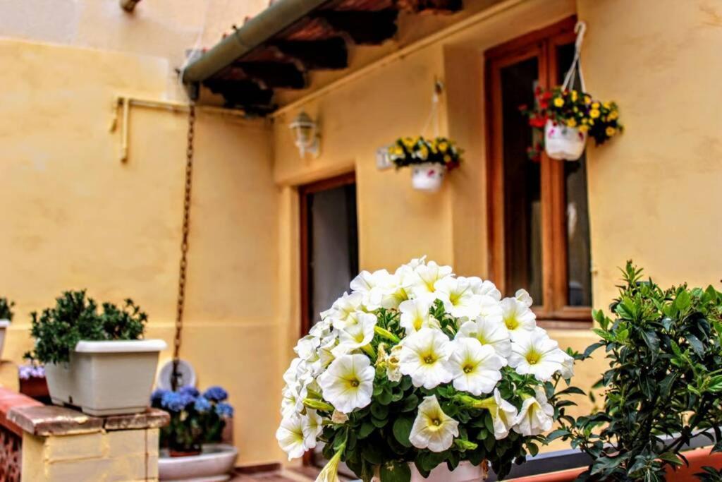 Panoramic And Beautiful House 4Km From The Sea. Villa Rosignano Marittimo Exterior photo